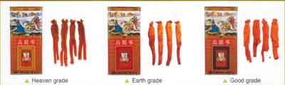 Grades of quality of Korean Red Ginseng from Korea Ginseng Corporation